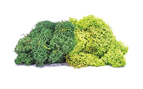 【中古】【未当て嵌める・未開封品】Hornby R7195 Lichen - L大きさ 緑であること交ぜ合わせる 見晴らし原材料 マルチ