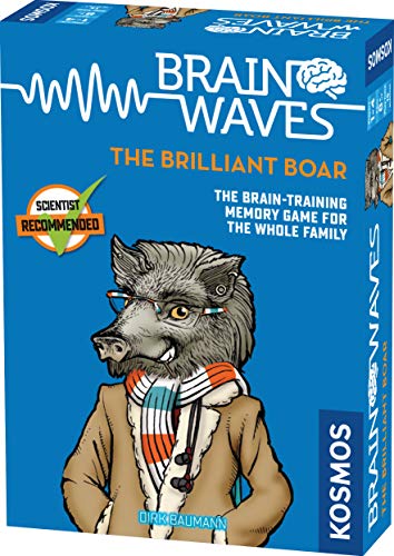 【中古】【未使用・未開封品】Brainwaves - The Brilliant Boar SW|AJIMURA-SHOP
