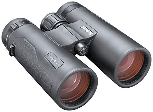 【中古】【未当て嵌める・未開封品】Bushnell Engage DX 10x42粍 小型望遠鏡 黒いこと