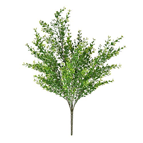 【中古】【未使用・未開封品】Vickerman ボックスウッド エブリデイ ブッシュ 22.5インチ グリーン|AJIMURA-SHOP