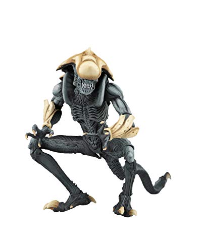 【中古】【未使用・未開封品】NECA - エイリアン対プレデター（アーケードゲームの見た目）- 7インチスケール アクションフィギュア - クライサリス｜AJIMURA-SHOP 61,588円