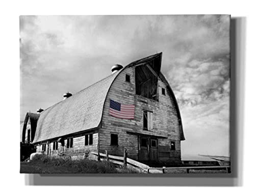 【中古】【未使用・未開封品】James Mcloughlin エピックグラフィティ 'Flag of Our Farmers X' ジークレーキャンバスウォールアート 26インチ x 18インチ ブラック 35,242円