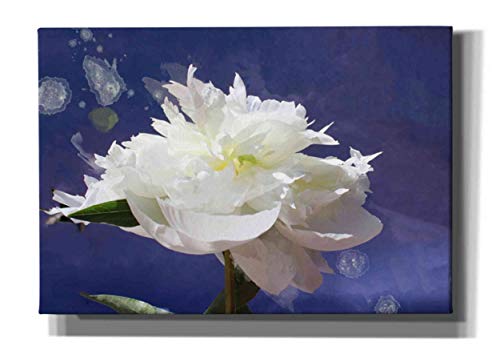 【中古】【未使用・未開封品】Epicグラフィティ 「White 牡丹-セント・オブ・ヘブン」 Irena Orlov作 ジークレー キャンバス ウォールアート 26\