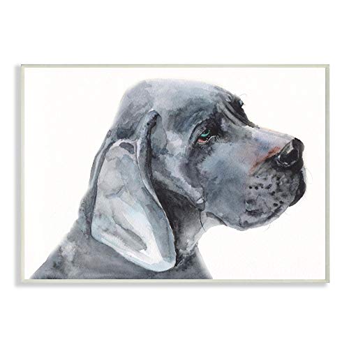 【中古】【未使用・未開封品】Stupell Industries Dane Dog ペット 動物 グレー 水彩画 壁飾り板 10 x 15インチ マルチカラー