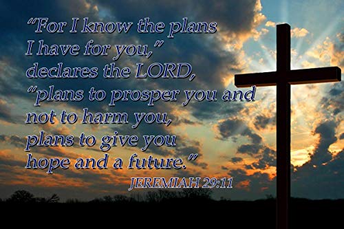 【中古】【未使用・未開封品】Jerimiah 29:11 聖書の引用 I Know The Plans I Have for You Declared The Lord CAP00020 モチベーションを高める教育用インスピレーションポス｜AJIMURA-SHOP