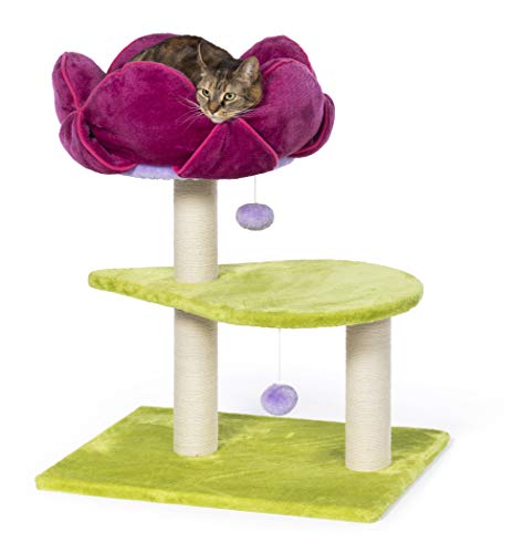 【中古】【未当て嵌める・未開封品】【ALLFORWAN’ｓLIFE】キャットタワー プレビュー愛玩動物 PrevuePet キャットツリー 御花力強さ