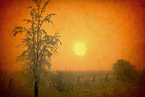 【中古】【未使用・未開封品】Posterazzi PDDNA03BJY0002LARGE Canada. Abstract of Frosty Sunrise Photo Print, 24 x 36, Multi 141［並行輸入］｜AJIMURA-SHOP