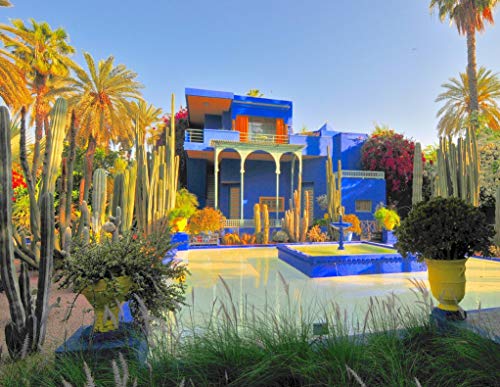 【中古】【未使用・未開封品】カラフルな木製ジグソーパズル - Le Jardin Majorelle Marrakech、モロッコ - 448個のユニークな木製ピース。 Nautilus Puzzlesによる米国製。|AJIMURA-SHOP