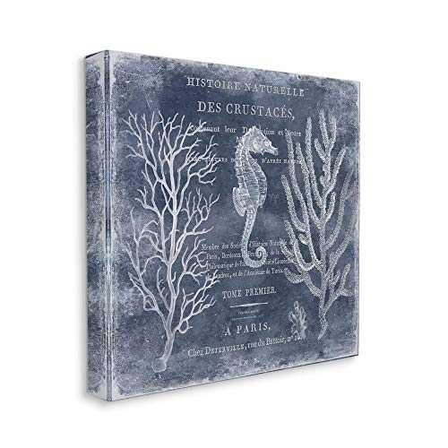 【中古】【未使用・未開封品】Stupell Industries ビンテージヨーロピアンタツノオトシゴデザイン、Deborah Devellierによるデザイン、17 x 17、キャンバス