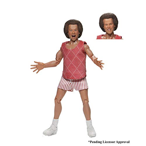【中古】【未使用・未開封品】NECA - Richard Simmons 8 Clothed Action Figure|AJIMURA-SHOP