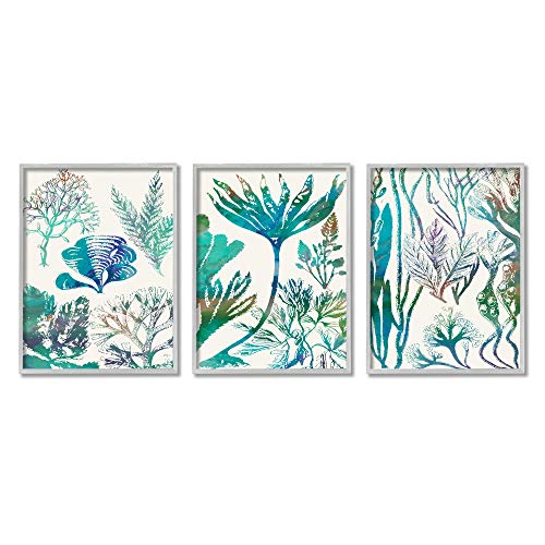 【中古】【未使用・未開封品】Stupell Industries Collage of Blue Sea Plants Ocean Floor, シャロン・チャンドラーによるデザイン グレーフレームウォールアート 16 x 20