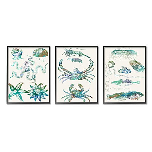 【中古】【未使用・未開封品】Stupell Industries Collage of Blue Aquatic Creatures Ocean Life, Sharon Chandlerによるデザイン ブラックフレームウォールアート 16 x 20イ｜AJIMURA-SHOP