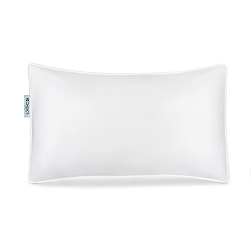 【中古】【未当て嵌める・未開封品】Choice Hotels\u0027 Luminessse 低揺りうごかす性御前上等枕 標準尺度(1)