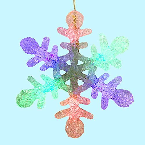 【中古】【未使用・未開封品】BANBERRY DESIGNS LEDライト付きスノーフレーク 電池式クリスマスデコレーション 約25インチ