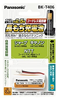 【中古】【未使用未開封】パナソニック 充電式ニッケル水素電池(コードレス電話) BK-T406