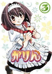 【中古】【未使用未開封】かりん 3 (通常版) [DVD]