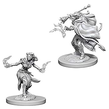 【中古】【未使用未開封】WizKids D \u0026 D Nolzur Marvellous Miniatures: Female Tiefling Warlock.