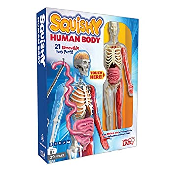 【中古】Squishy Human Body (Smartlab)