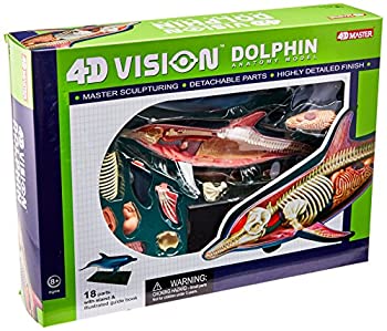 【中古】【未使用未開封】Famemaster 4D-Vision Dolphin Anatomy Model by TEDCO｜AJIMURA-SHOP