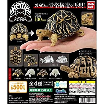 楽天市場】かめ 04 「かめ」シリーズ 第4弾 KAME フィギュア 亀 カメ