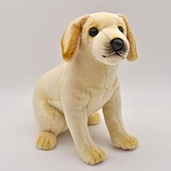 【中古】ラブラドール No.4712
