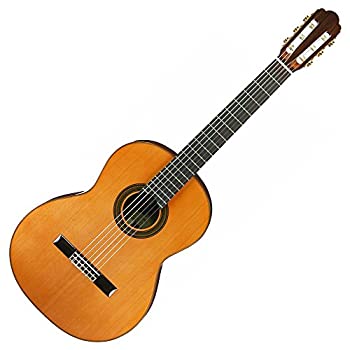 Aria W-300 アコースティックギター s-l400.jpg