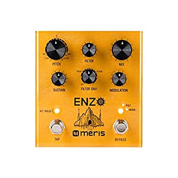 【中古】Meris EZO-DST Enzo Pedal マルチボイスシンセサイザーペダル エフェクター|AJIMURA-SHOP