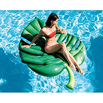 【中古】INTEX(はたご屋テックス) 釣り浮き輪 アイスクリームソーダ 引っ敷き プラムリーフマット 213×142珊 58782 [日本定め事品]