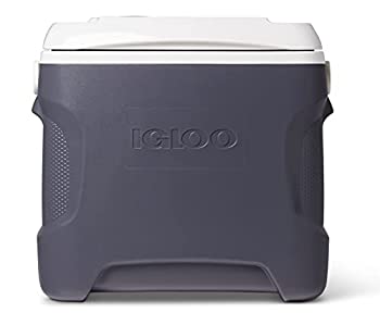 Igloo 40369 28 Qt. Iceless 28 Thermoelectric Cooler, Silver