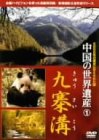 【中古】Kabbalah Yoga: Ambitious Beginners [DVD]