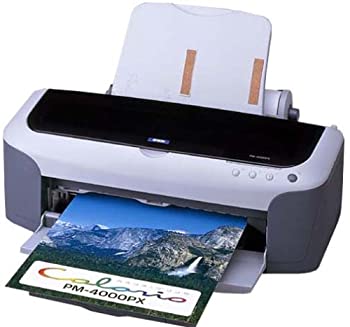 【中古】EPSON ハラリオ PM-4000PX