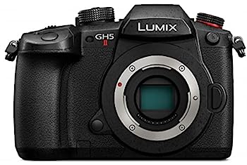【中古】パナソニック ミラーレス一眼カメラ ルミックス GH5M2 ボディ ブラック DC-GH5M2
