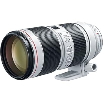 【中古】加農砲EF 70-200粍 f/2.8LはIII USM水晶体。加農砲デジタル一眼二眼レフ写真機用(お墨付きリファービッシュ)。