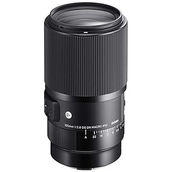 楽天市場】【中古】シグマ(Sigma) レンズ 90mm F2.8 DG DN Lマウント