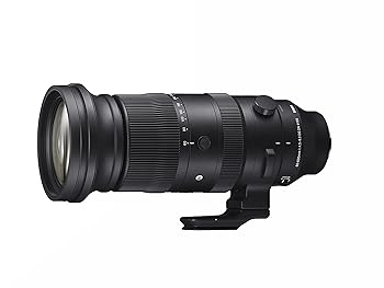 【中古】シグマ 60-600mm F4.5-6.3 DG DN OS Sports ソニーE用
