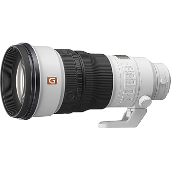 【中古】SONY(ソニー) 望遠単焦点レンズ フルサイズ FE 300mm F2.8 GM OSS フルサイズ デジタル一眼カメラα[Eマウント]用 純正レンズ SEL300F28GM｜AJIMURA-SHOP