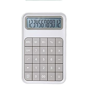 【中古】HANIIC-952 12桁の学習机計算器大名取り草愛くるしい砂糖漬け色つやファイナンス商行為会計検査官ツールビッグボタンバッテリー(C)