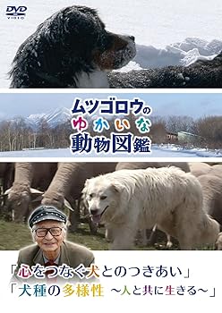 【中古】『ムツゴロウのゆかいな動物図鑑』シリーズ「心をつなぐ犬とのつきあい」「犬種の多様性 ~人と共に生きる~」 [DVD] 8,114円