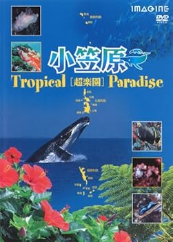 【中古】小笠原[超楽園]Tropical Paradise [DVD]