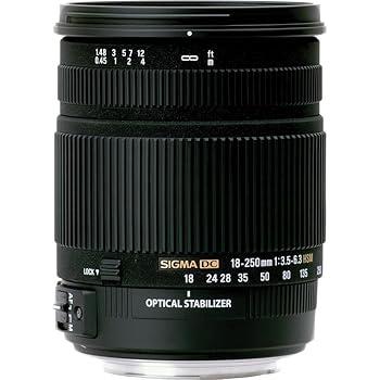 【中古】シグマ 18-250粍 F3.5-6.3 DC os HSM SO ソニー用