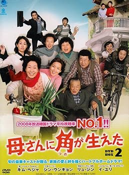 【中古】母さんに角が生えた　DVD-BOX2