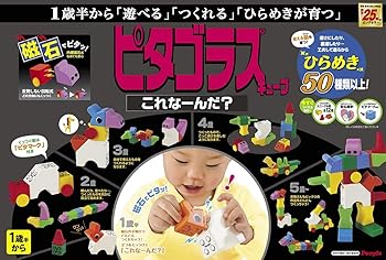 【中古】ピタゴラスシリーズ ピタゴラスキューブ これな~んだ? 20パーツ PGS-322