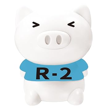 【中古】タイソウブーブーR2(ラジオ体操第二)