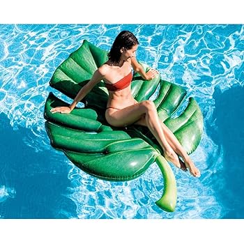 【中古】INTEX(インテックス) 浮き輪 フロート マット プラムリーフマット 213×142cm 58782 [日本正規品]