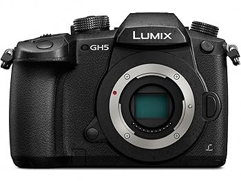 【中古】【未当て嵌める】PANASONIC LUMIX GH5 上半身 4K 銀鏡レスカメラ 20.3メガ絵素 デュアルI.S. 2.0、4K、422、10ビット、フルサイズHDMI最終生産物、3in肌ざわりL