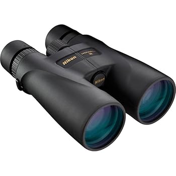 【中古】【未当て嵌める】Nikon 7583 Monarch 5 20 x 56小型望遠鏡(黒いこと)