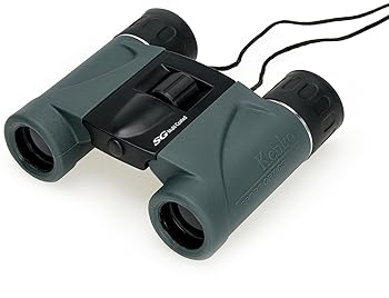 【中古】ケンコー(Kenko) 双眼鏡 SG-H 8×21 8倍 21口径 ダハプリズム2軸式 コンパクト 軽量198g 旅行・コンサート用 012758