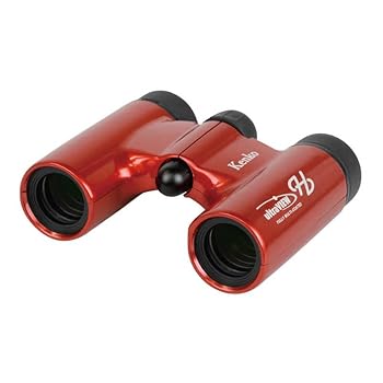 【中古】【未使用】ケンコー ウルトラビューH 8X21DH ウルトラビューH8X21DHFMCLT