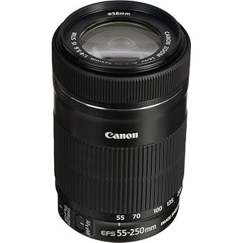 【中古】【未使用】EF S 55 to 250mm f 4 5.6 IS