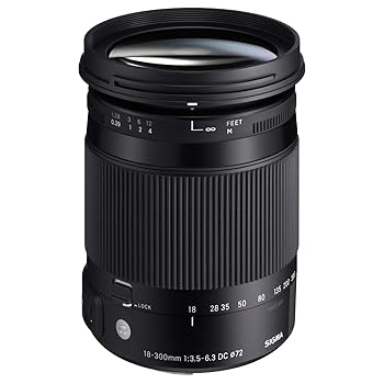 【中古】Sigma 18-300mm F3.5-6.3 DC Macro OS HSM ( C ) Nikon (DX) カメラ用 - インターナショナルバージョン (保証なし)